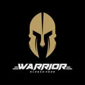 Spartan warrior logo vector design