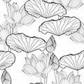 Linear Pattern - Lotus Flower. Lotus Flowers Pattern. Monotone With Drawing Line Art. Tropical Line Art Background.