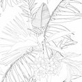 Tropical Exotic Floral Line Black White Palm Leaves And Flowers Seamless Pattern, Line Background.