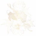 Hand drawn Asian symbols - gold koi carp with peony flowers on a white background. Royalty Free Stock Photo