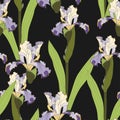 Basic RGBSeamless floral pattern. Arrangement blue yellow iris flowers on a black background. Hand-drawn illustration. Royalty Free Stock Photo