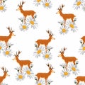 Semless pattern with deer and camomile flowers. Repeated texture with elegant animals and floral elements. Cartoon style. Royalty Free Stock Photo
