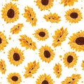 Yellow seamless pattern with tropical summer flowers. Floral repetition background with spring floral elements. Royalty Free Stock Photo