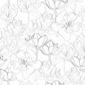 Seamless vintage pattern with  tulips line silhouette on white background. Royalty Free Stock Photo