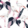 Pink flamingo, graphic pink leaves, white background. Floral seamless pattern. Tropical illustration. Exotic plants, birds. Royalty Free Stock Photo