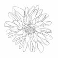 Beautiful monochrome black and white dahlia flower isolated on background. Hand-drawn contour line for greeting cards. Royalty Free Stock Photo