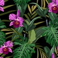 Tropical Cattleya orchid flowers and exotic leaves on black background. Seamless pattern. Royalty Free Stock Photo
