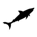 Shark silhouette. Shark black sign isolated on white background. Shark Vector illustration Royalty Free Stock Photo