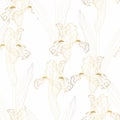 Floral seamless etching pattern. Flower background. Floral seamless texture with golden iris flowers.