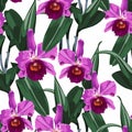 Tropical Cattleya orchid flowers on white background. Seamless pattern. Jungle foliage illustration. Exotic plants.