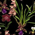 Watercolor style exotic orchid flowers seamless pattern. Decorative background in rustic boho style