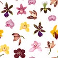 Watercolor style yellow, brown, bordo, pink orchid flowers seamless pattern. Decorative background in rustic boho style. Royalty Free Stock Photo