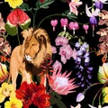 Tropical exotic flowers, lion animal floral seamless border on black background. Exotic safari wallpaper. Royalty Free Stock Photo