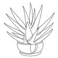 Hawrotia cactus. Indoor potted plant in modern trendy single line style. Solid line, outline for decor, posters, stickers, logo. V