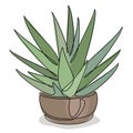 Hawrotia cactus. Indoor potted plant in modern trendy single line style. Solid line, outline for decor, posters, stickers, logo. V