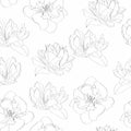 Seamless pattern with line tulips flowers silhouette on white background. Royalty Free Stock Photo