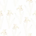 Floral seamless etching pattern. Flower background. Floral seamless texture with golden iris flowers.