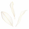 Golden Ficus leaves line drawing. Hand drawn modern design for creative logo, icon or emblem.