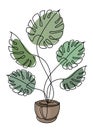 Potted monstera flower branch in modern style in one line style. Continuous line drawing, outline for home decor, posters, wall ar