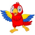 Cartoon funny baby macaw on white background Royalty Free Stock Photo