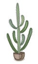 Euphorbia cactus. Indoor potted plant in modern trendy single line style. Solid line, outline for decor, posters, stickers, logo. Royalty Free Stock Photo