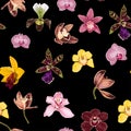 Watercolor style yellow, brown, bordo, pink orchid flowers seamless pattern. Decorative background. Royalty Free Stock Photo