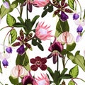 Exotic flowers seamless pattern. Tropical violet bordo orchids, protea, callas flowers and palm leaves in summer print. Royalty Free Stock Photo