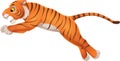 Cartoon funny tiger jumping on white background Royalty Free Stock Photo