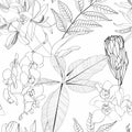 Exotic protea orchid flowers and palm leaves illustration. Black white line seamless pattern. Royalty Free Stock Photo