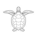 Hand drawn sea turtle with simple pattern on white isolated background. Royalty Free Stock Photo