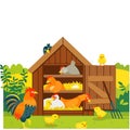 Farm chicken design vector