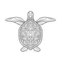 Hand drawn sea turtle with small and middle pattern on white isolated background. Royalty Free Stock Photo