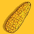 Vector art of a yellow ripe corn cob. Drawing of an isolated summer and autumn cereal. Royalty Free Stock Photo