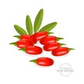 Realistic fresh goji berry vector illustration.