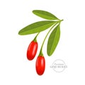 Realistic fresh goji berry vector illustration.