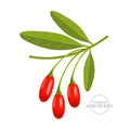 Realistic fresh goji berry vector illustration.