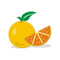 Illustration vector graphic of orange design vector - fruit Royalty Free Stock Photo