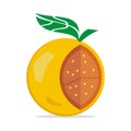 Illustration vector graphic of orange design vector - food - fruit Royalty Free Stock Photo
