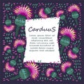 Carduus - plant wiht pink flowers. Vector template.