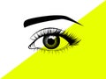 Vector illustration drawing of an detailed eye Royalty Free Stock Photo