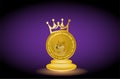 Dogecoin icon with golden king colour in stage with dark background