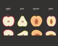 Fruits halves: apple, pear, apricot, plum. Vector illustration