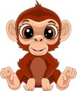 Cartoon cute baby monkey sitting Royalty Free Stock Photo
