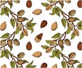 Sketch drawing pattern of colorful almond nut tree isolated on white background.