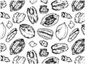 Hand drawn pattern of sketch pecan nuts in shell isolated on white background. Black engraved walnut, snack wallpaper