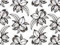 Sketch drawing pattern with black engraved pecan nuts with leaves isolated on white background. Doodle pecan tree wallpaper
