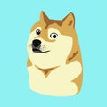 Doge meme Shiba Inu flat vector illustration