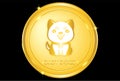 Floki coin crypto, doge coins, shiba inu SHIB, baby doge coin, crypto currency with golden colour. for web, banner, sign, symbol Royalty Free Stock Photo