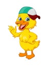 Cute baby duck cartoon wearing hat waving hand Royalty Free Stock Photo