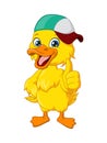 Cute baby duck cartoon wearing hat give thumb up Royalty Free Stock Photo